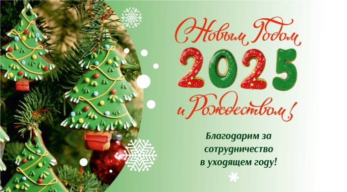 С Новым 2025 годом!